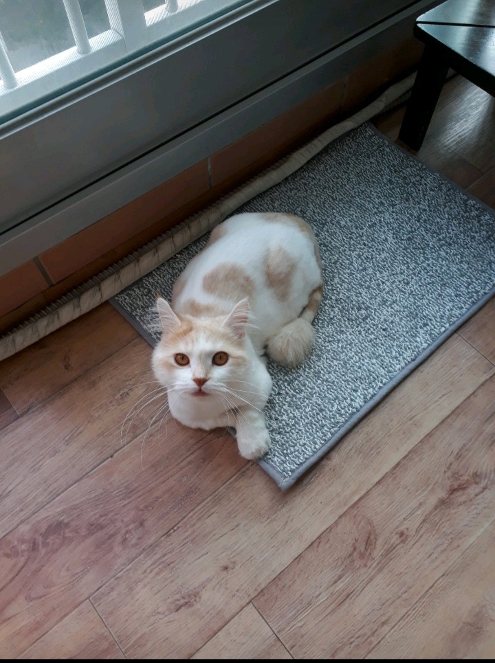 0ㅡ0