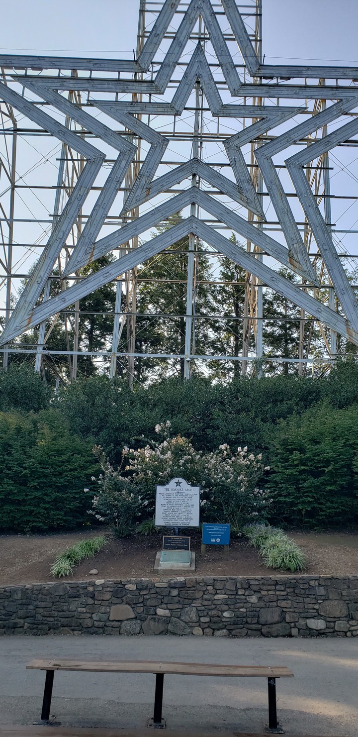 World's largest man-made star