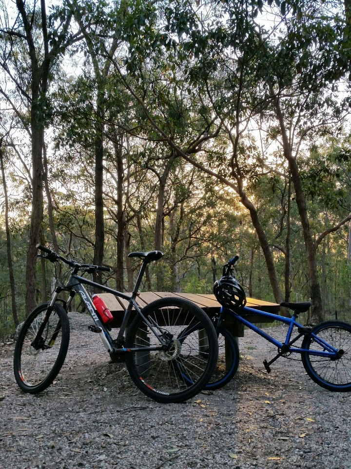 bikes