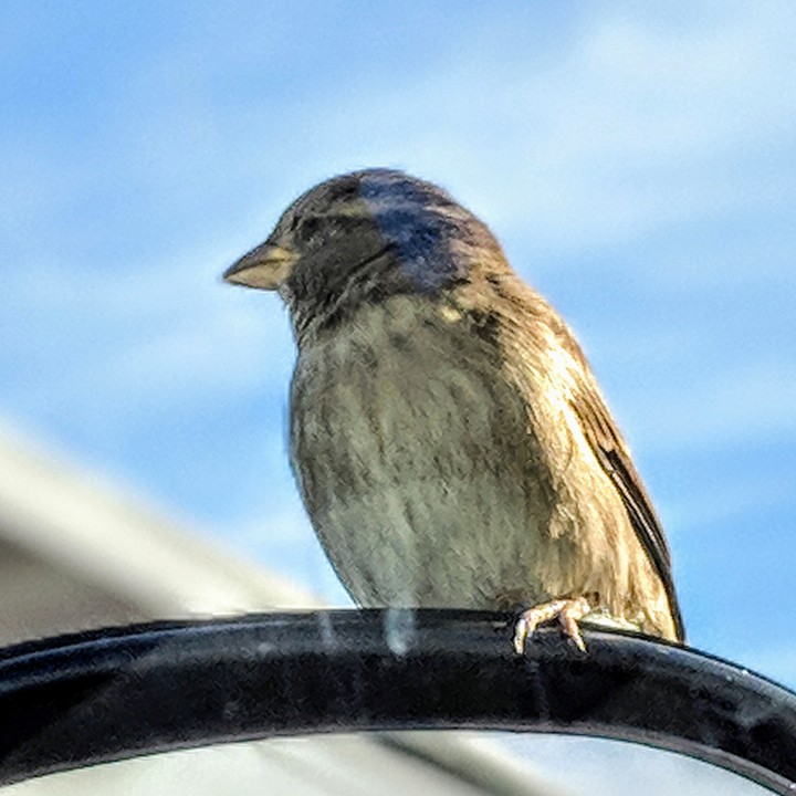 a birds view