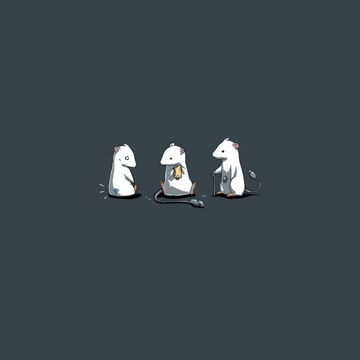 ネズミ