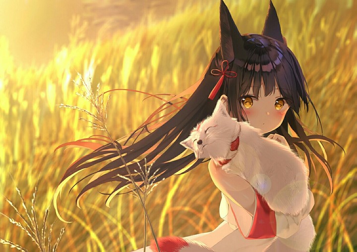 Anime ~