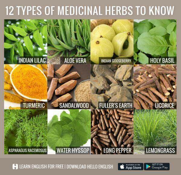 herbs