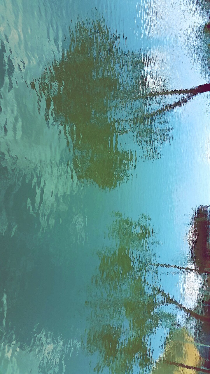 Reflection