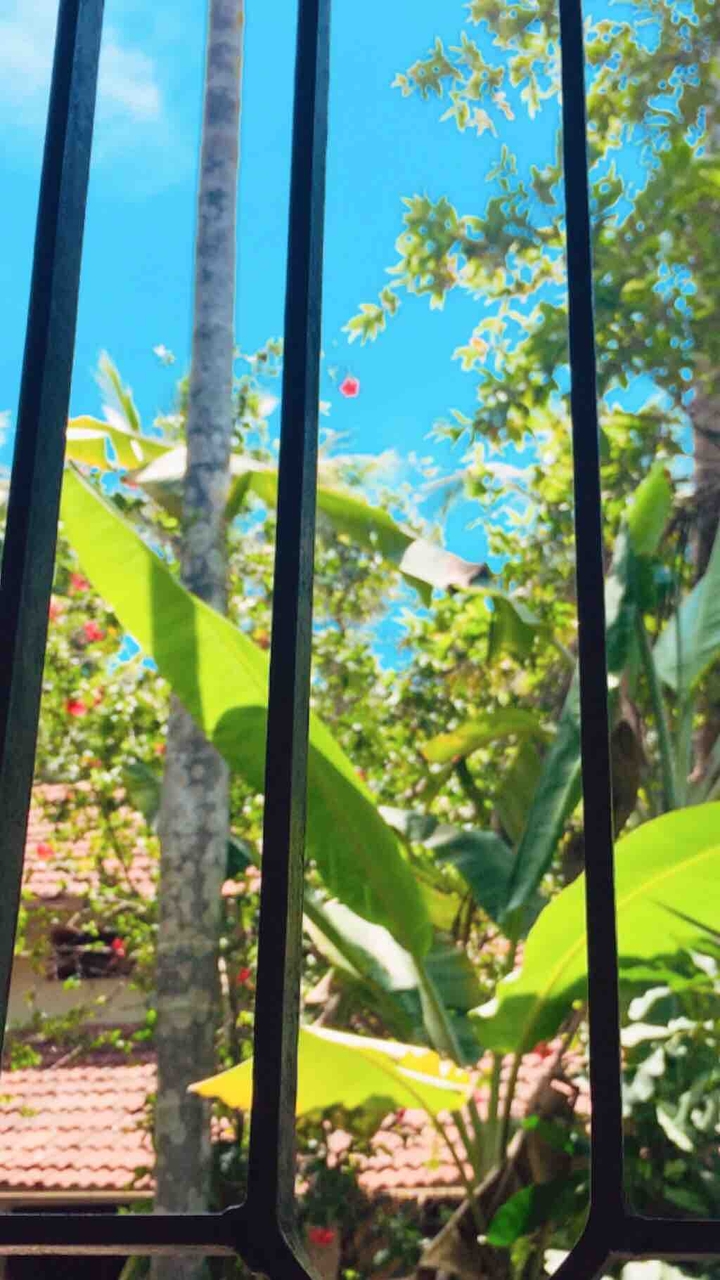 beyond window