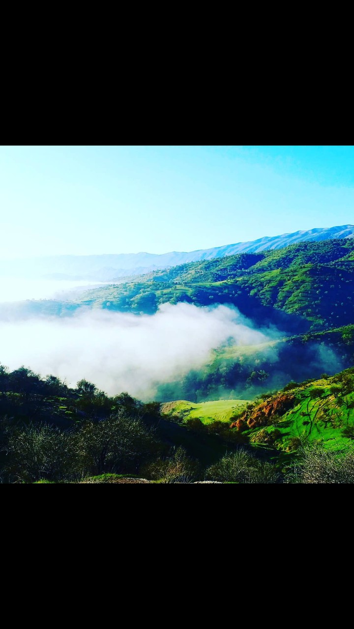 ilam.badreh
