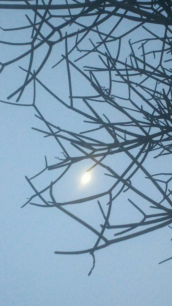 dusk moon