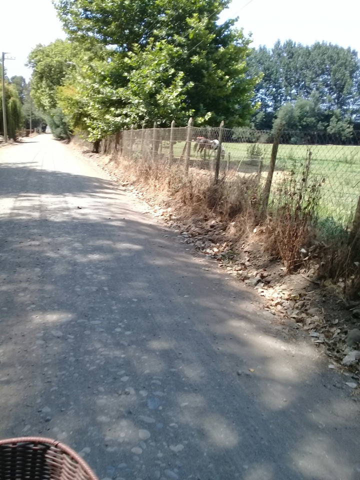hugo en bici