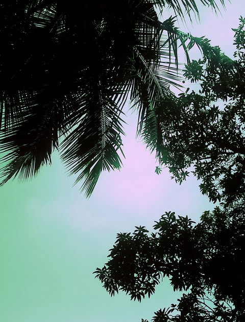 Outdoors