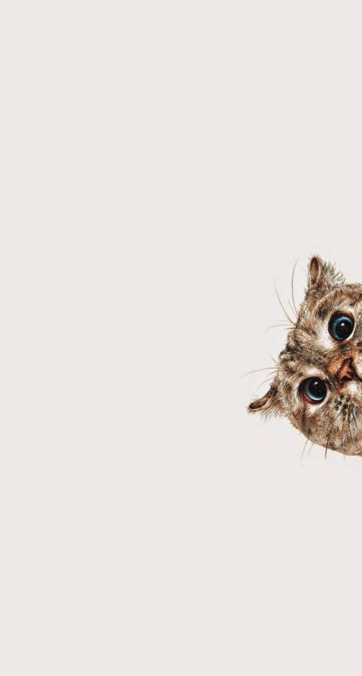 Cat-o-seek