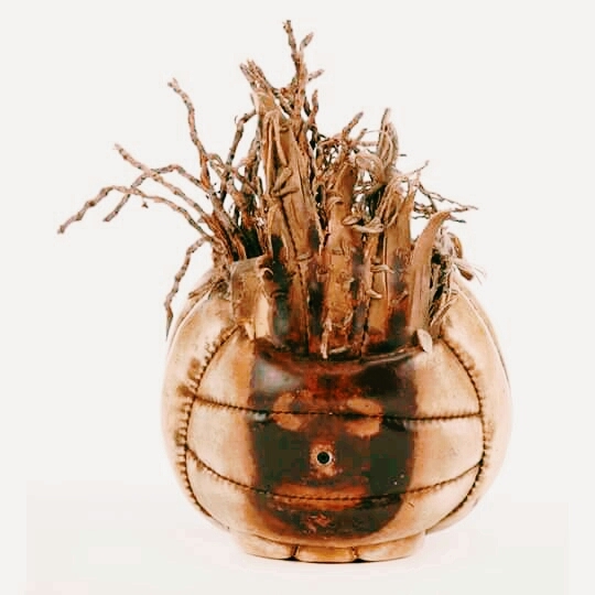 Mr:wilson