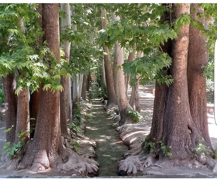 Pahlavanpour Garden