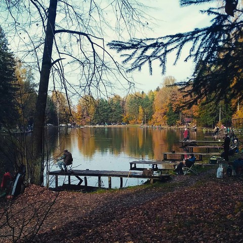 fishing