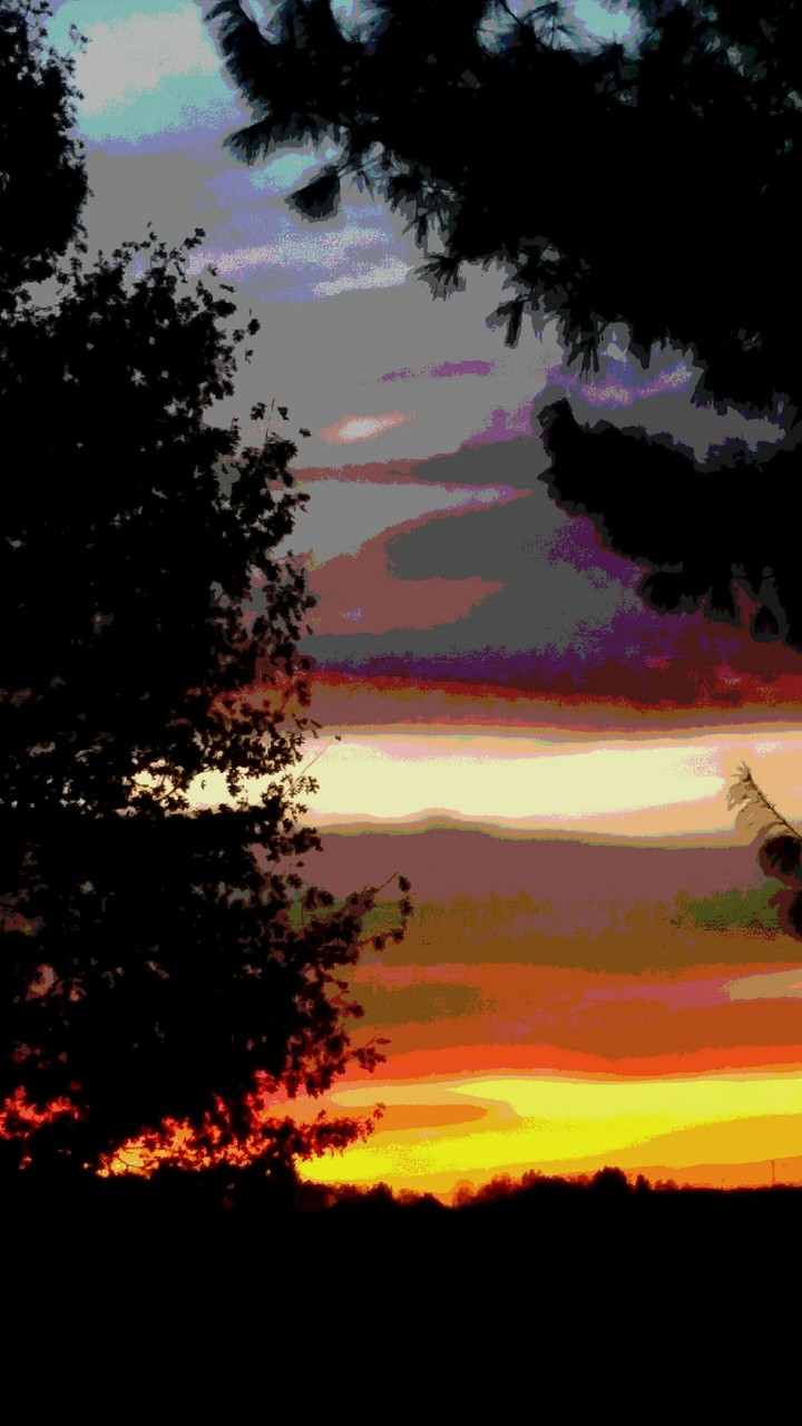 sunset