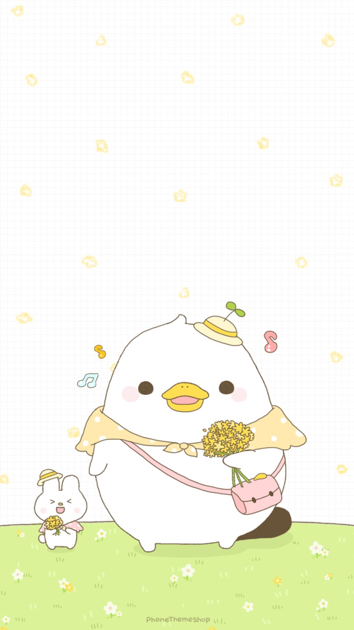 Gypsophila