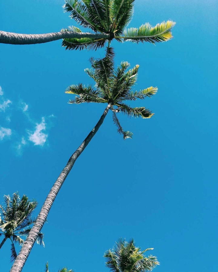 vacation
