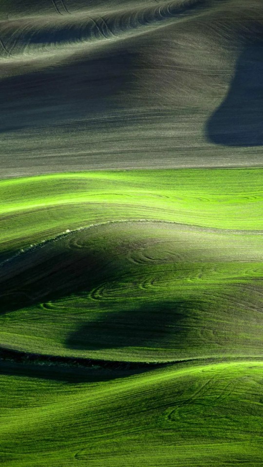 land
