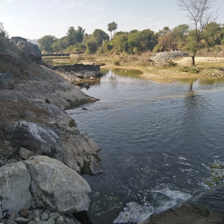 udaipur