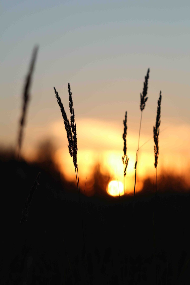 Sunrise magic