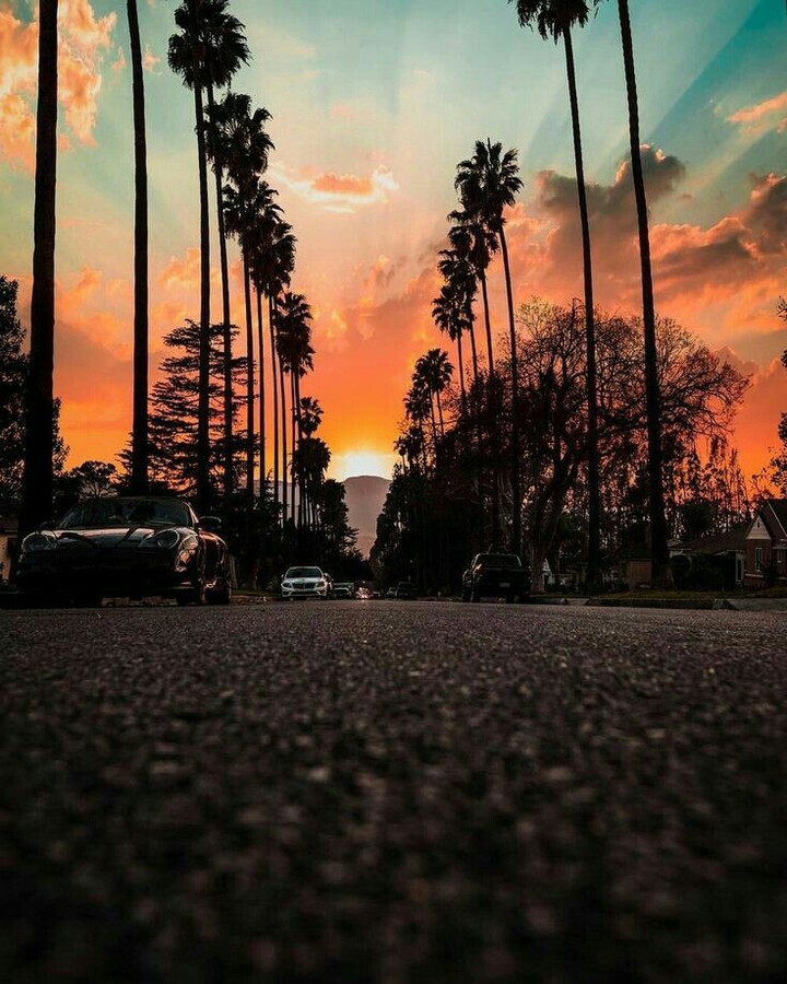 sunset