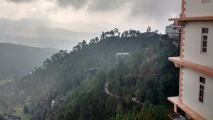 shimla weather