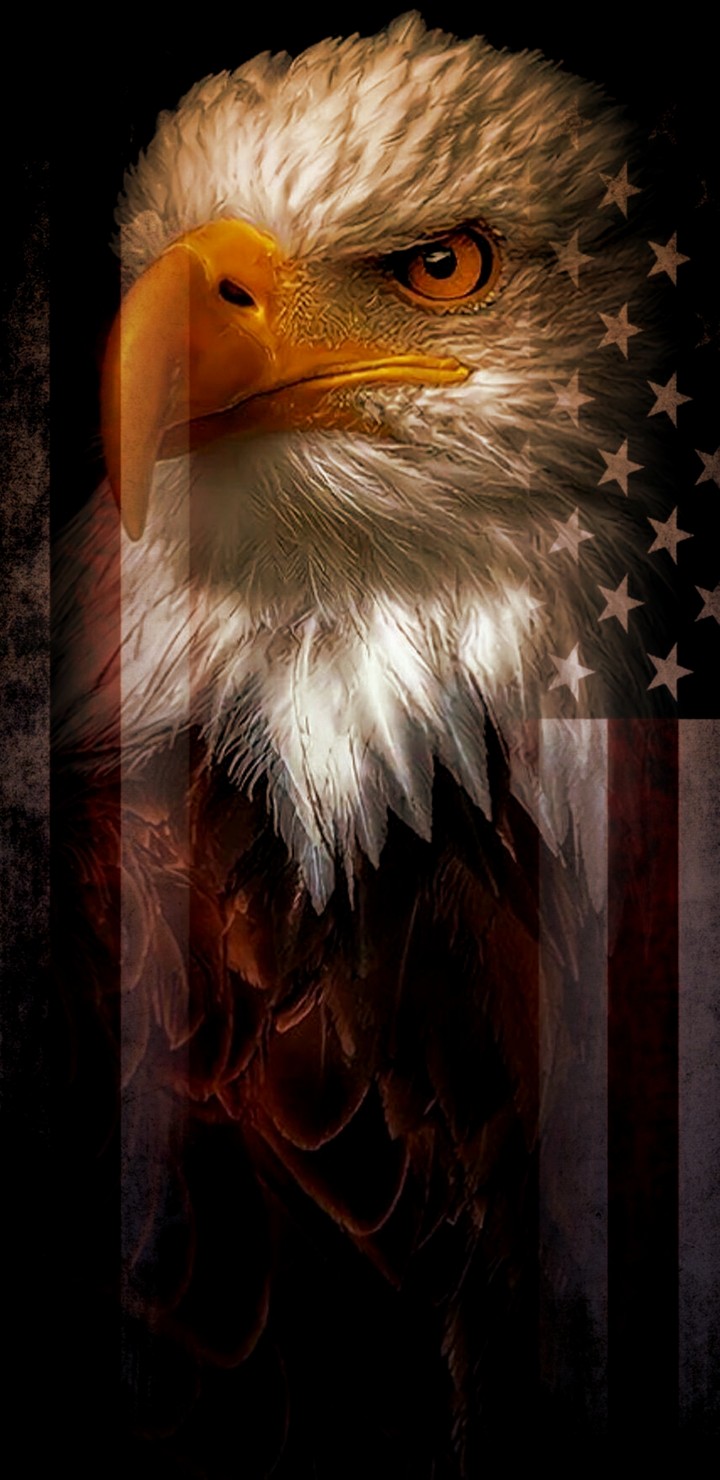 Eagle American Flag