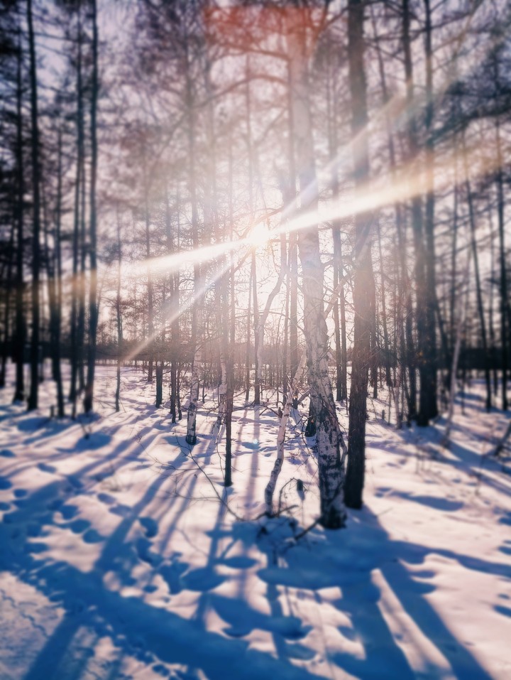 Spring in Yakutia_