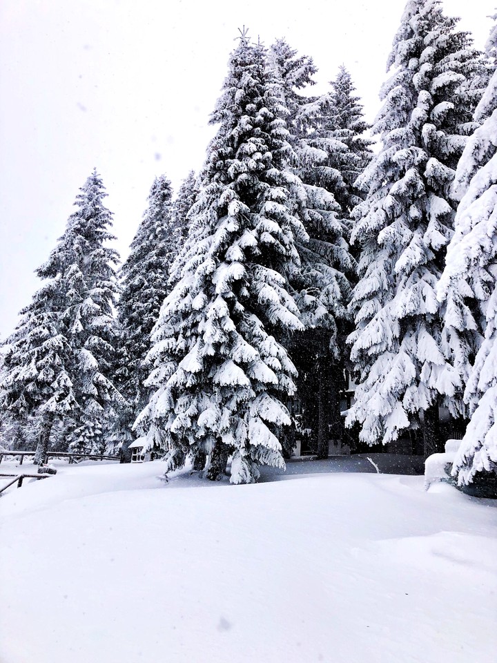 winter