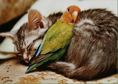 friends forever