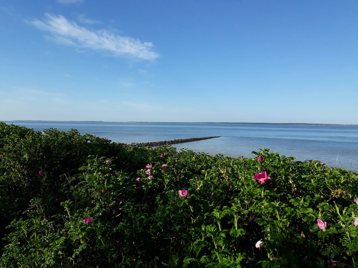 seaside
