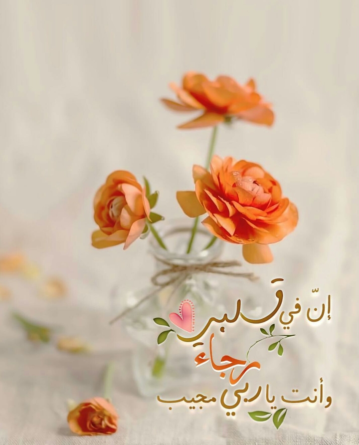 orange flower