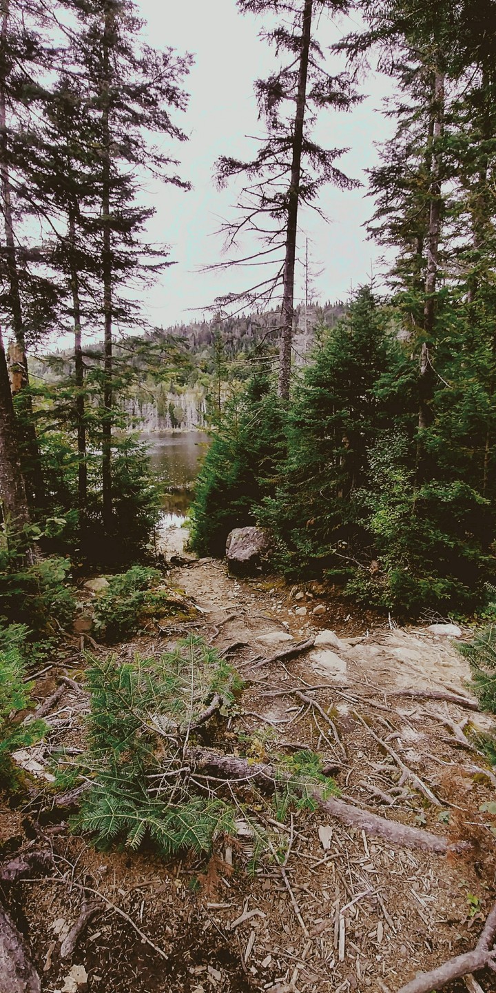 Lac lézard..