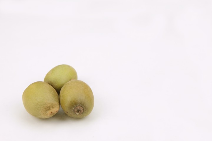 음식이미지