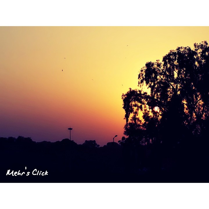 Twilight