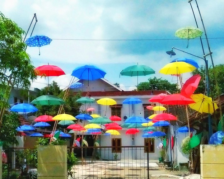 umbrella