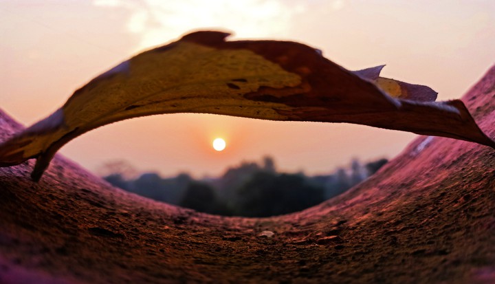 sunrise