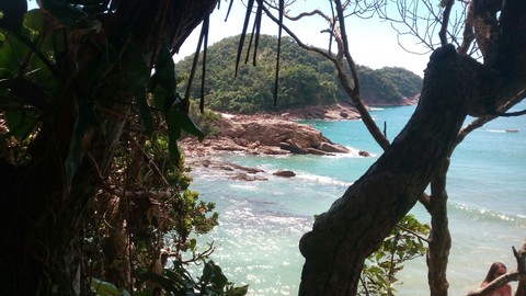 Trindade
