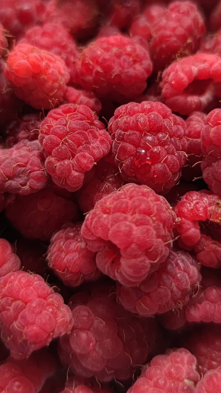 raspberries