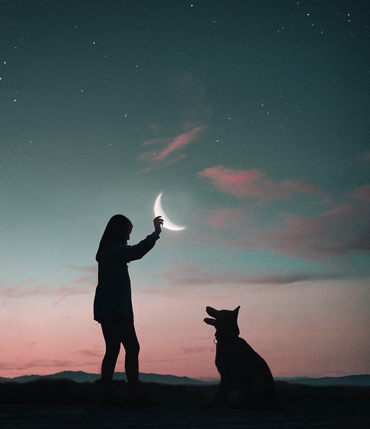 A girl, a dog and the moon