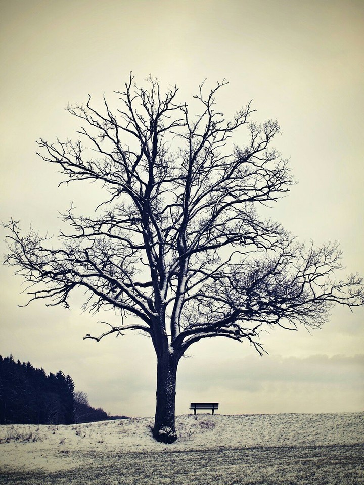 scene