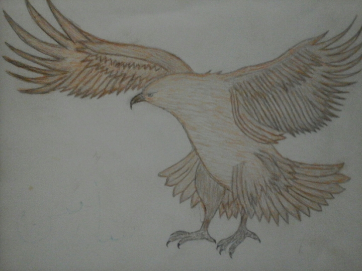 sketch