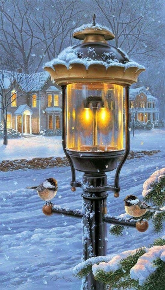 latern & Winter
