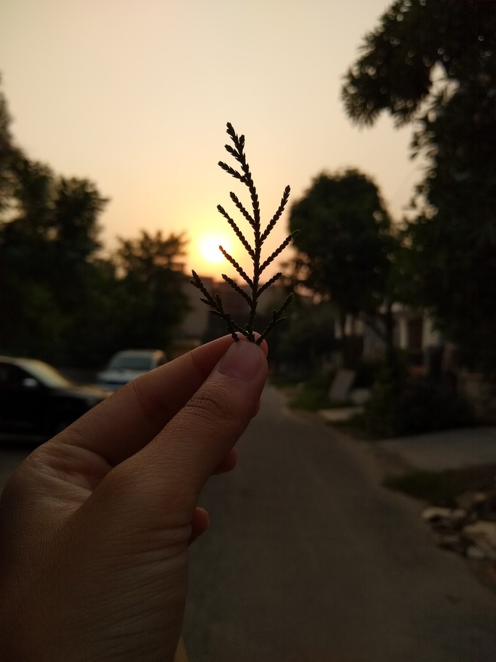 No filters