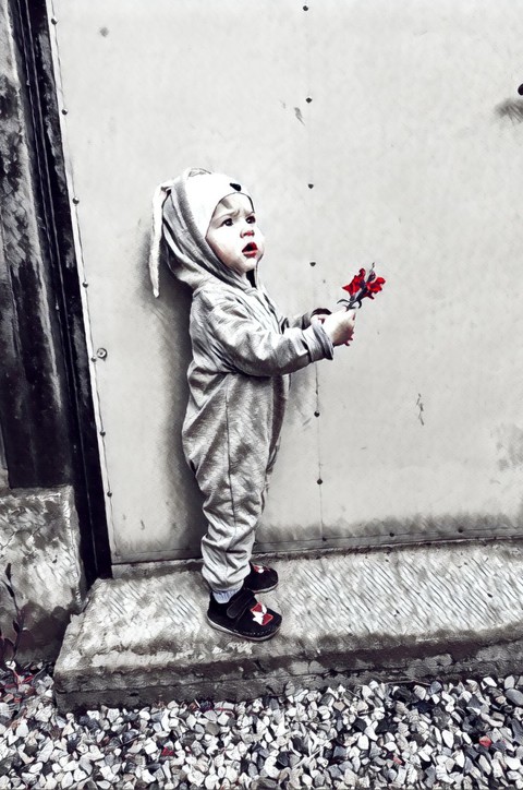 little boy