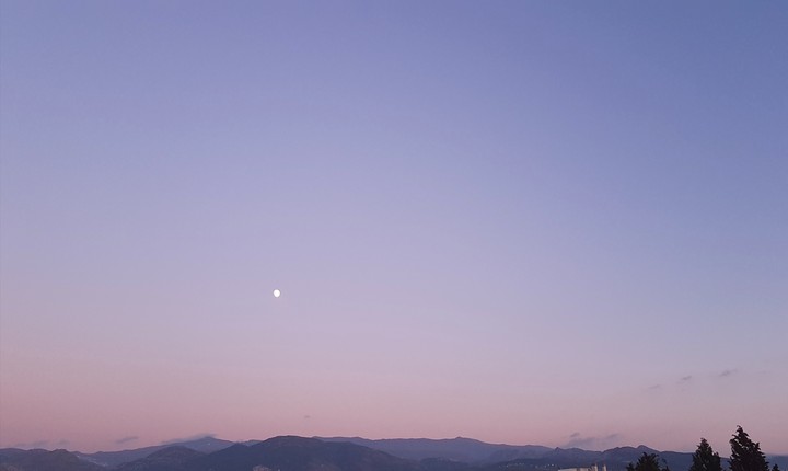 Purple Sky