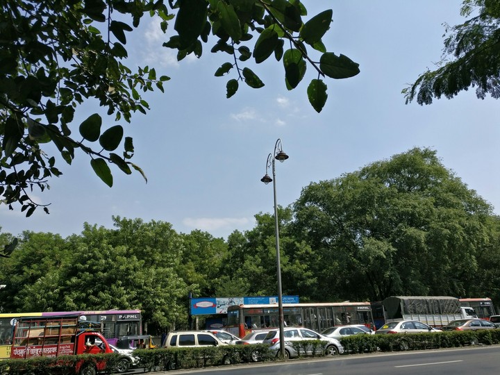 When traffic meets nature