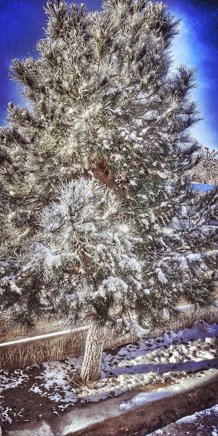 Winter 2018