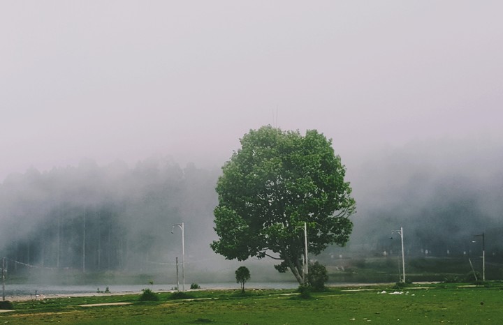 Fog