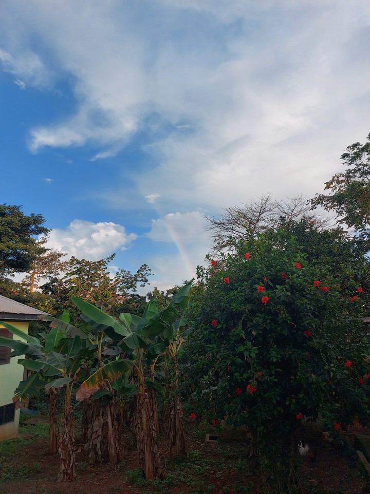 nature us life