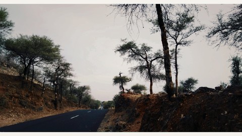 Trying to capture every moment.